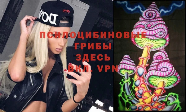 дмт Богданович